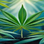 Imagem gerada por IA para ilustrar o conteúdo da Revista Ganja.