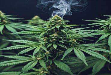 Imagem gerada por IA para ilustrar o conteúdo da Revista Ganja.
