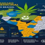 Imagem gerada por IA para ilustrar o conteúdo da Revista Ganja.