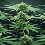 Imagem gerada por IA para ilustrar o conteúdo da Revista Ganja.