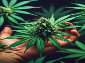 Imagem gerada por IA para ilustrar o conteúdo da Revista Ganja.