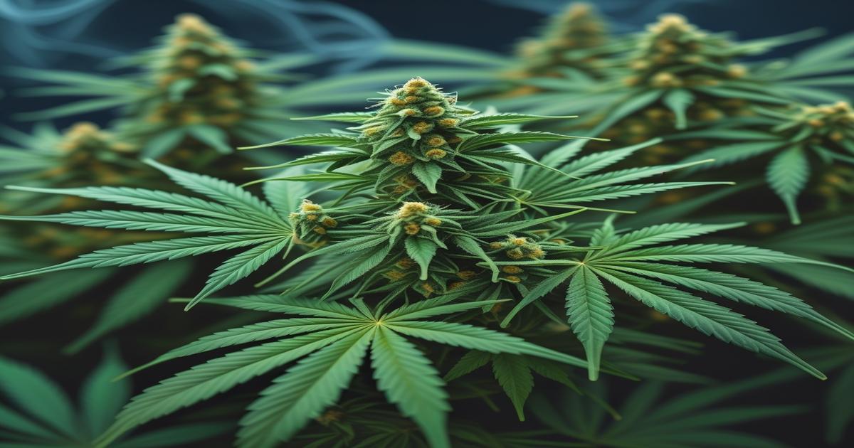 Imagem gerada por IA para ilustrar o conteúdo da Revista Ganja.