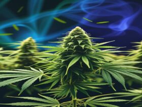 Imagem gerada por IA para ilustrar o conteúdo da Revista Ganja.