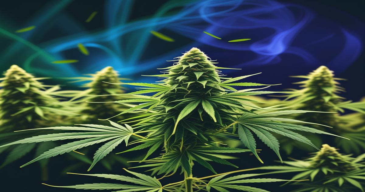 Imagem gerada por IA para ilustrar o conteúdo da Revista Ganja.