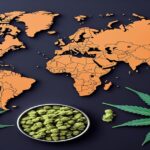 Imagem gerada por IA para ilustrar o conteúdo da Revista Ganja.