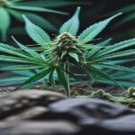 Imagem gerada por IA para ilustrar o conteúdo da Revista Ganja.