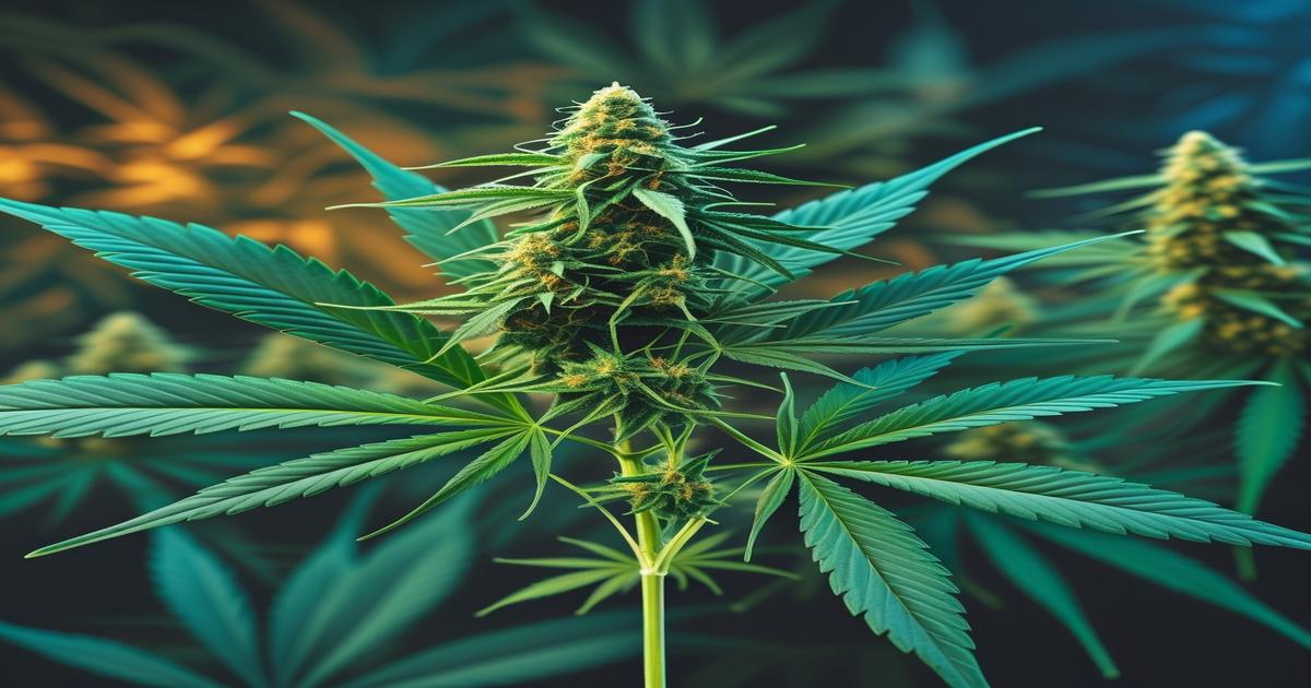 Imagem gerada por IA para ilustrar o conteúdo da Revista Ganja.