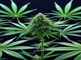 Imagem gerada por IA para ilustrar o conteúdo da Revista Ganja.