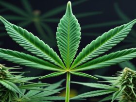 Imagem gerada por IA para ilustrar o conteúdo da Revista Ganja.