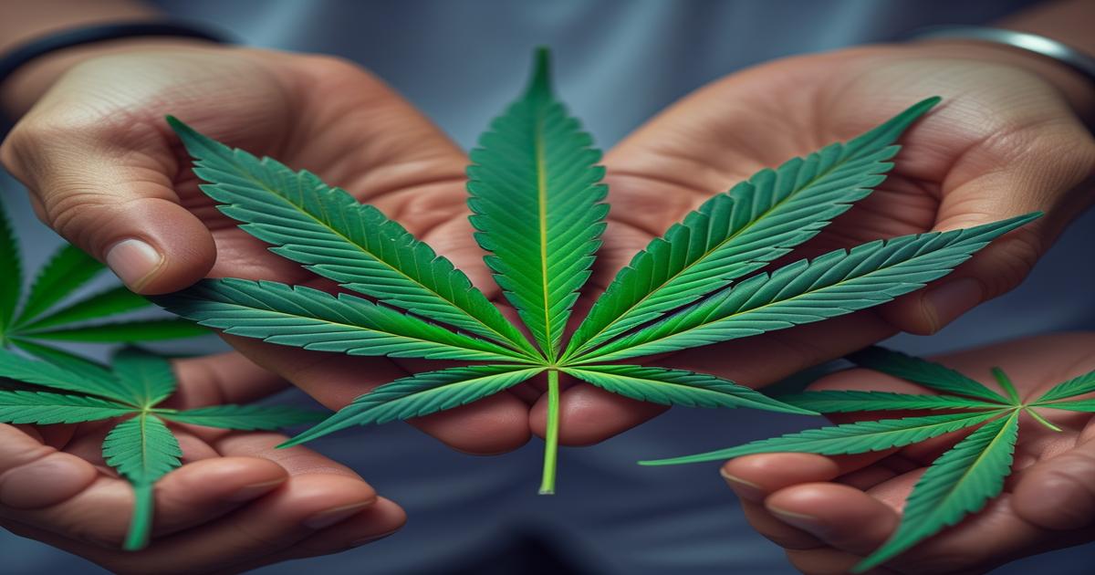Imagem gerada por IA para ilustrar o conteúdo da Revista Ganja.
