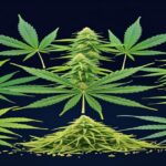 Imagem gerada por IA para ilustrar o conteúdo da Revista Ganja.