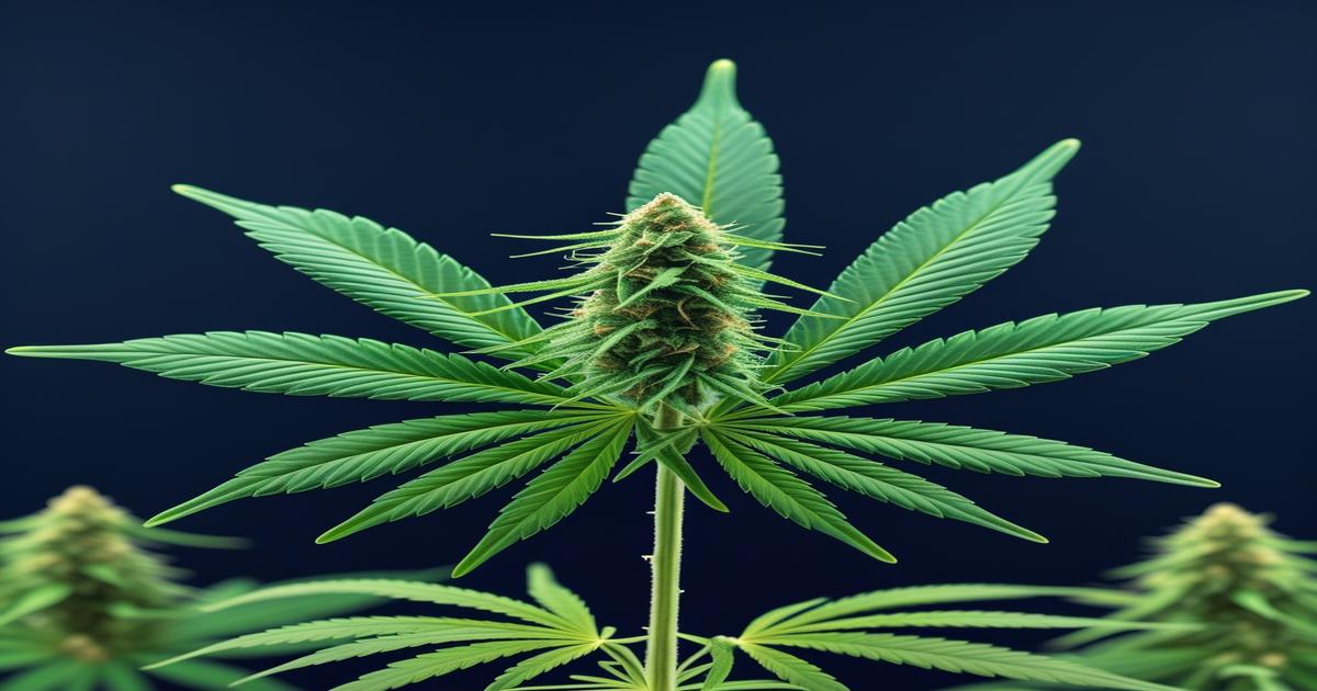 Imagem gerada por IA para ilustrar o conteúdo da Revista Ganja.