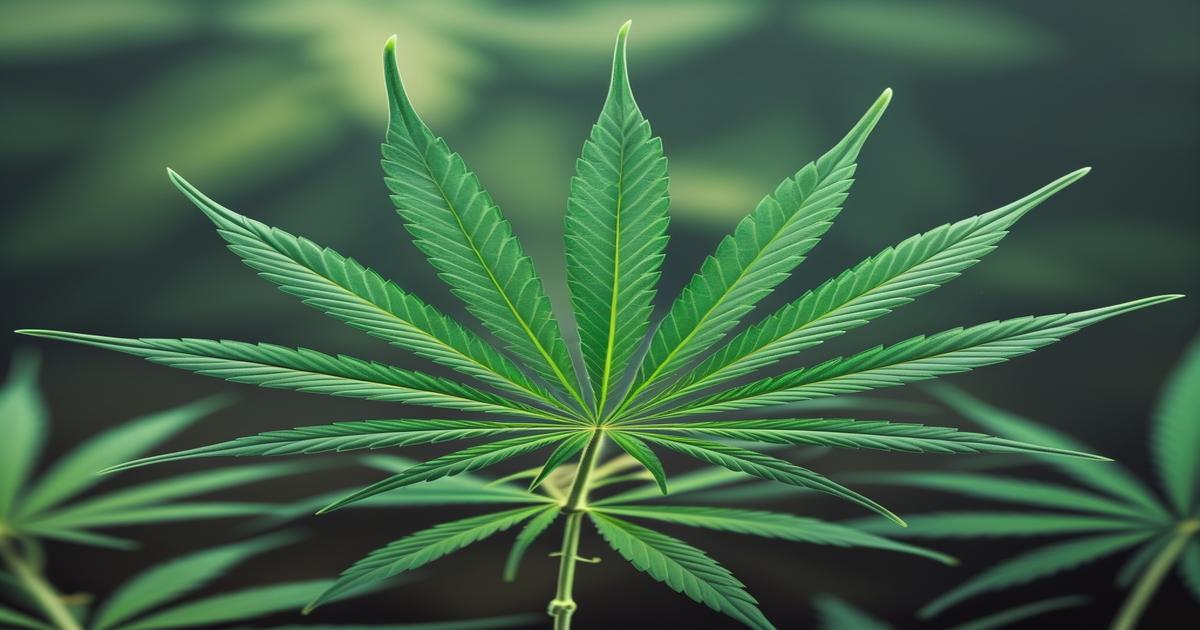 Imagem gerada por IA para ilustrar o conteúdo da Revista Ganja.